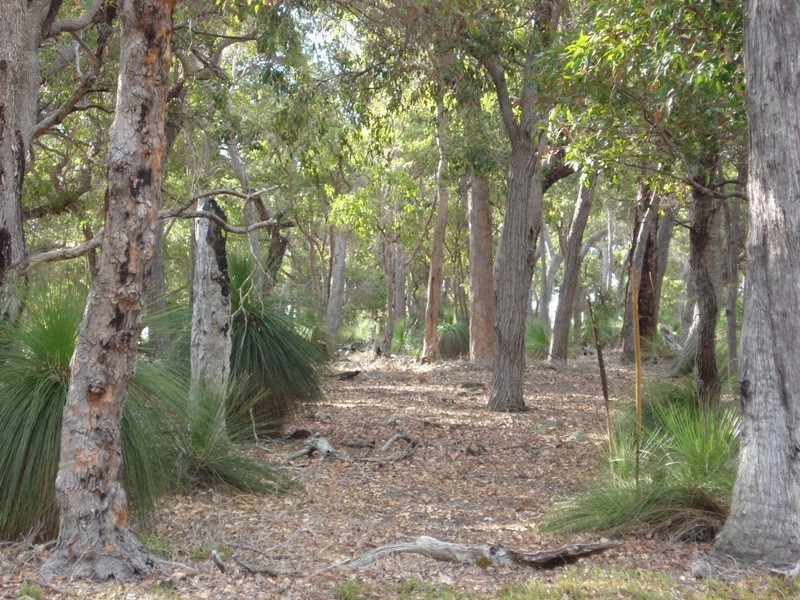 207 Quedjinup Drive, Quedjinup WA 6281