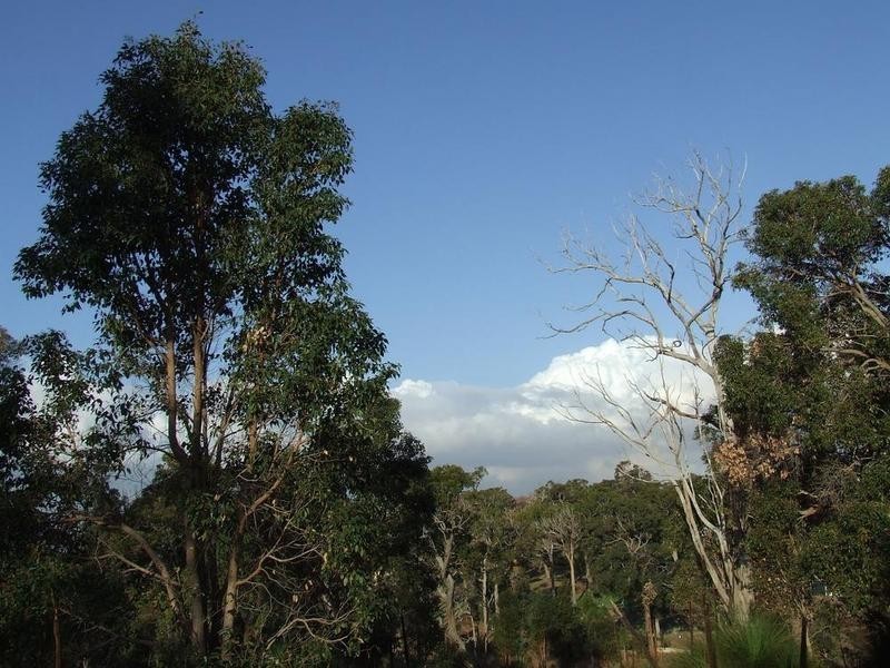 29 Broyage Retreat, Quindalup WA 6281