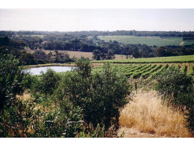 Lot 10, 3857 Caves Road, Wilyabrup WA 6280