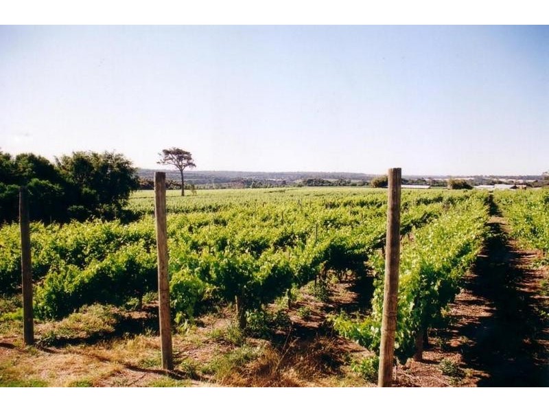 Lot 10, 3857 Caves Road, Wilyabrup WA 6280