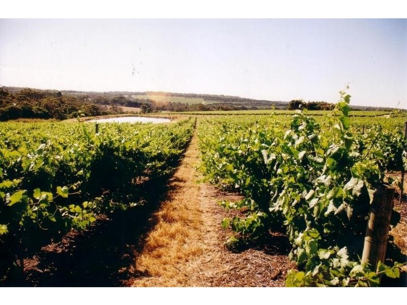 Lot 10, 3857 Caves Road, Wilyabrup WA 6280