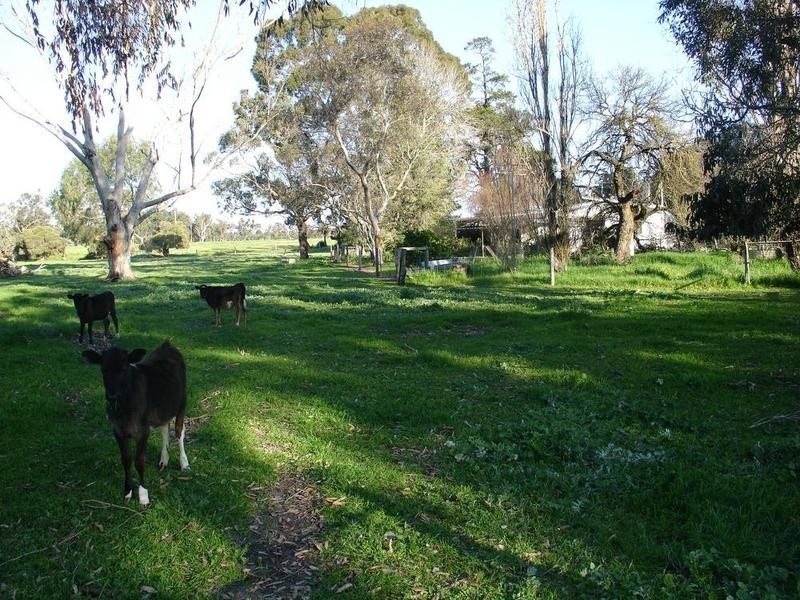 Lot Prop Lot 1,  Yalyalup Road, Busselton WA 6280