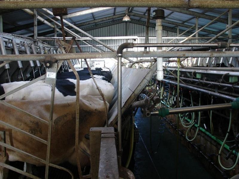 Lot Prop Lot 4,  Yalyalup Road, Busselton WA 6280