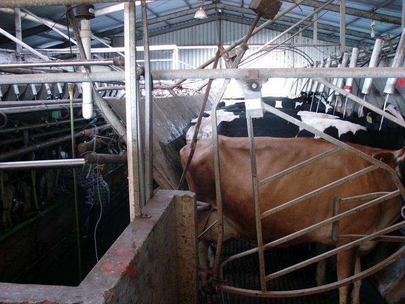 Lot Prop Lot 4,  Yalyalup Road, Busselton WA 6280