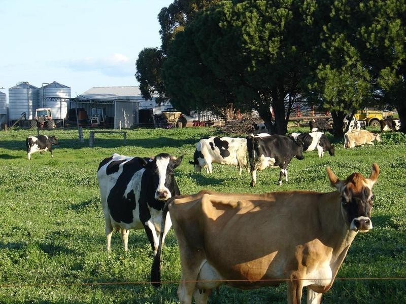 Lot Prop Lot 4,  Yalyalup Road, Busselton WA 6280