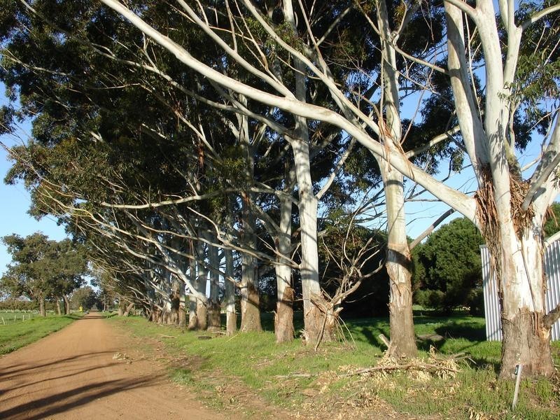 Lot Prop Lot 6,  Yalyalup Road, Busselton WA 6280