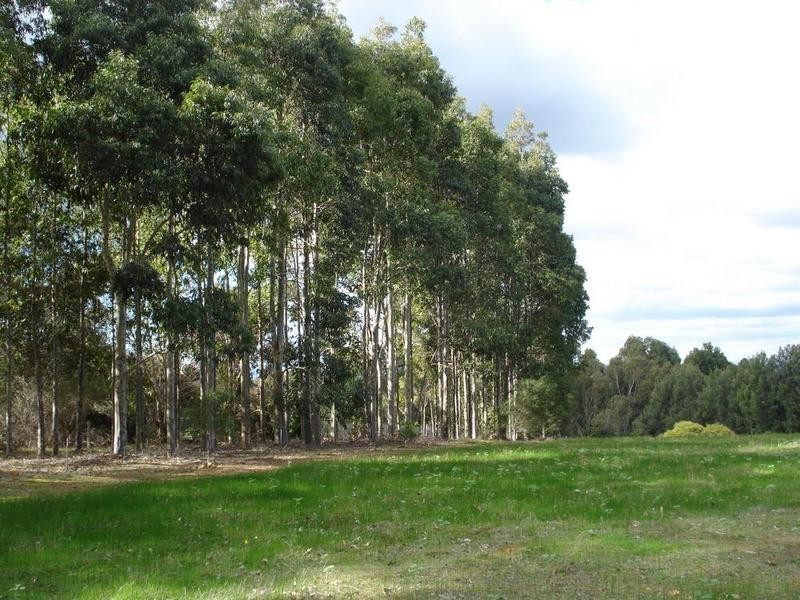 Lot 27 Commonage Road, Yallingup Siding WA 6282