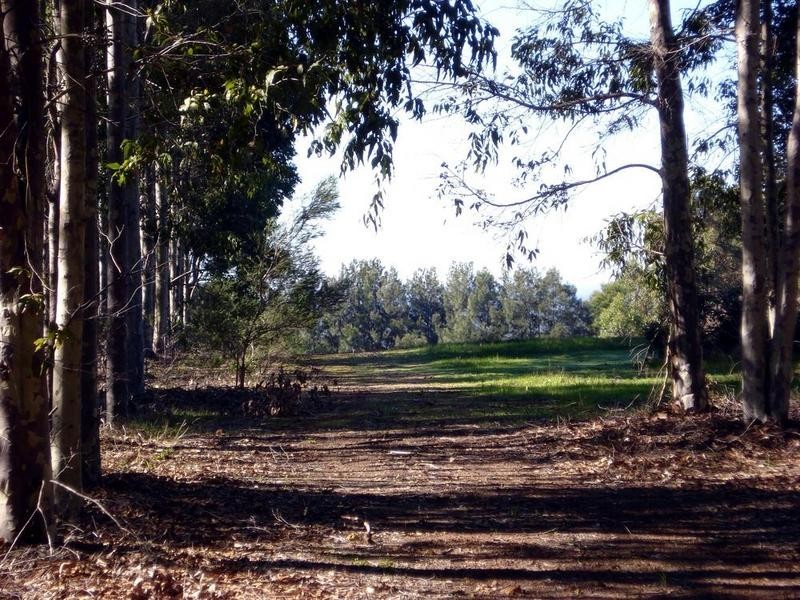 Lot 27 Commonage Road, Yallingup Siding WA 6282