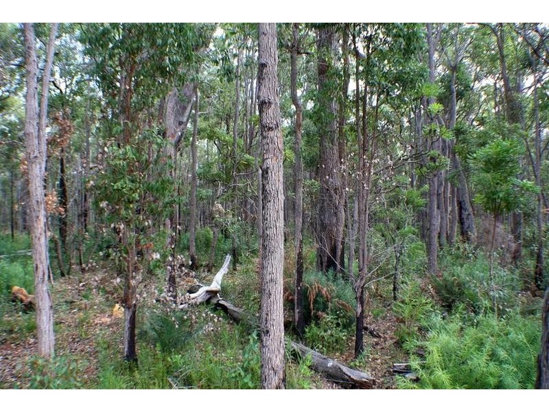 Lot Lot 41, 24 Tinglewood Court, Cowaramup WA 6284