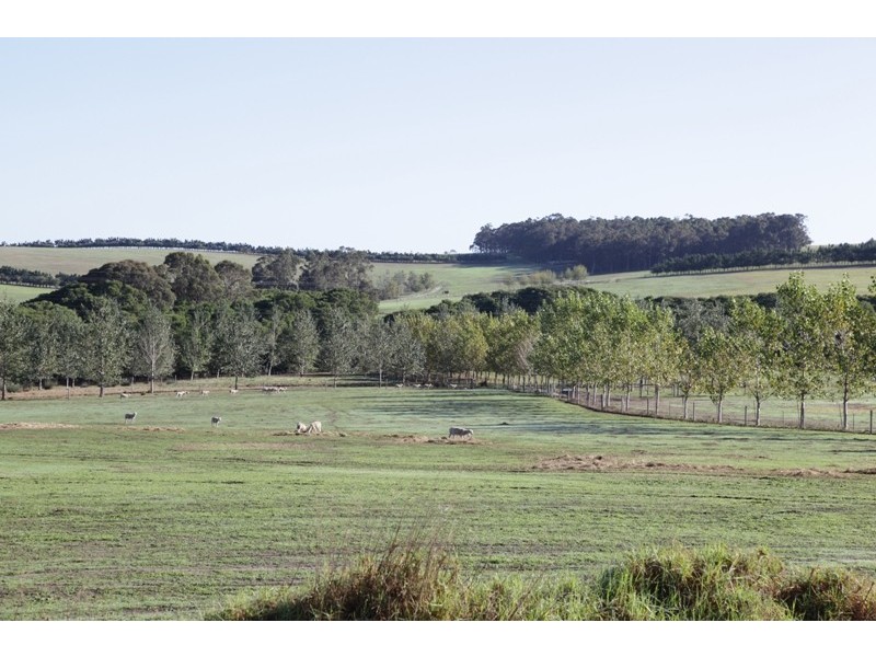 Lot 3635, 159 Bessell Road, Rosa Glen WA 6285