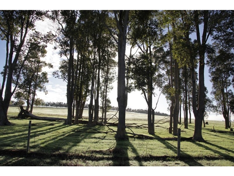 Lot 3635, 159 Bessell Road, Rosa Glen WA 6285