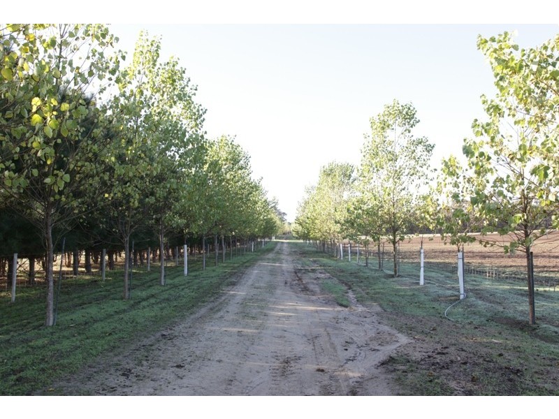 Lot 3635, 159 Bessell Road, Rosa Glen WA 6285