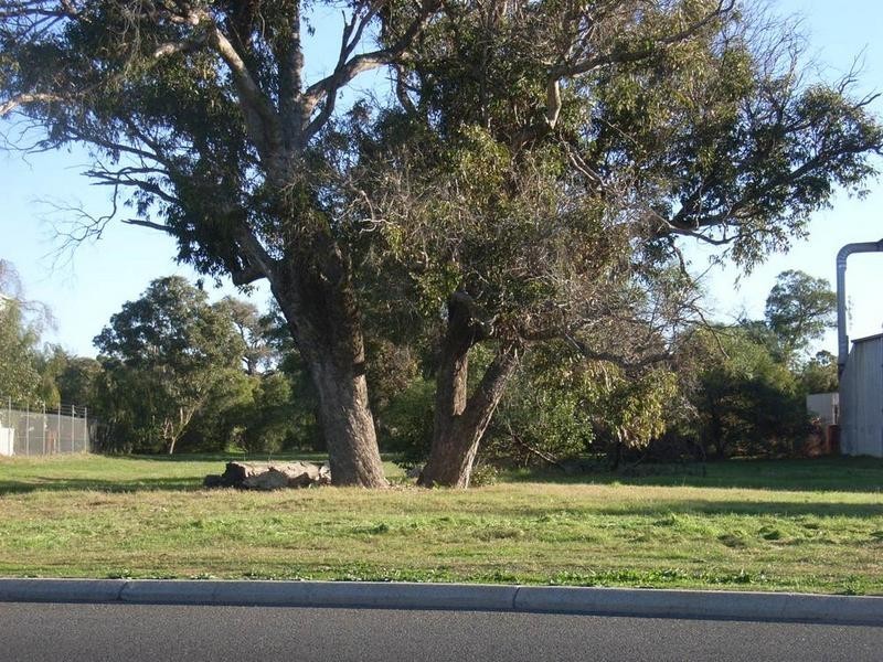 Lot 181, 38 Cook Street, Busselton WA 6280