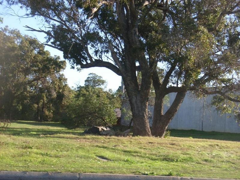 Lot 181, 38 Cook Street, Busselton WA 6280