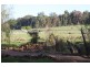 5 Roberts Road, Nannup WA 6275