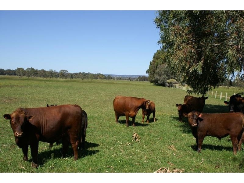 Lot 502 TO 504,  Garvey Road, Dardanup WA 6236