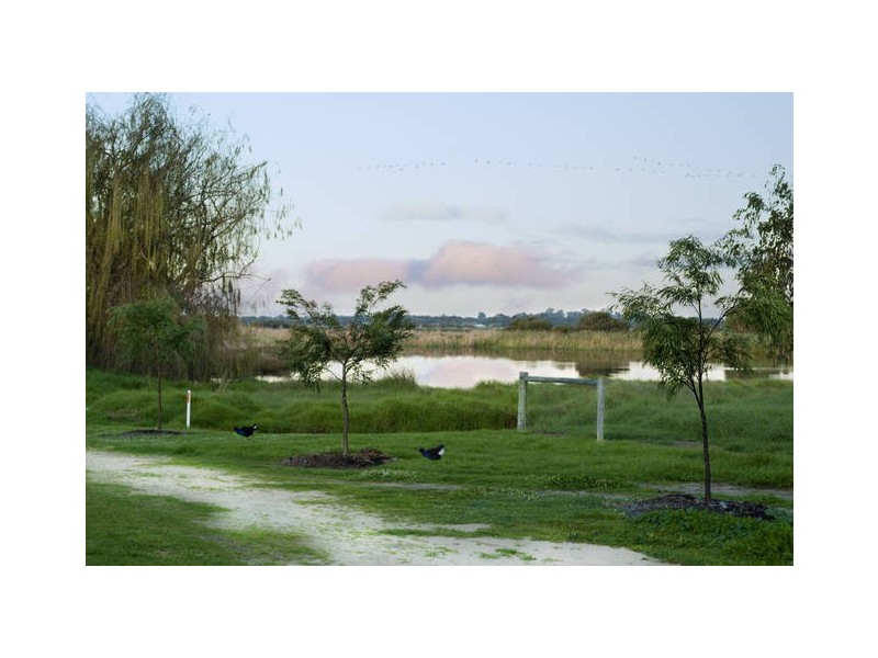 6/68 Carey Street, Busselton WA 6280