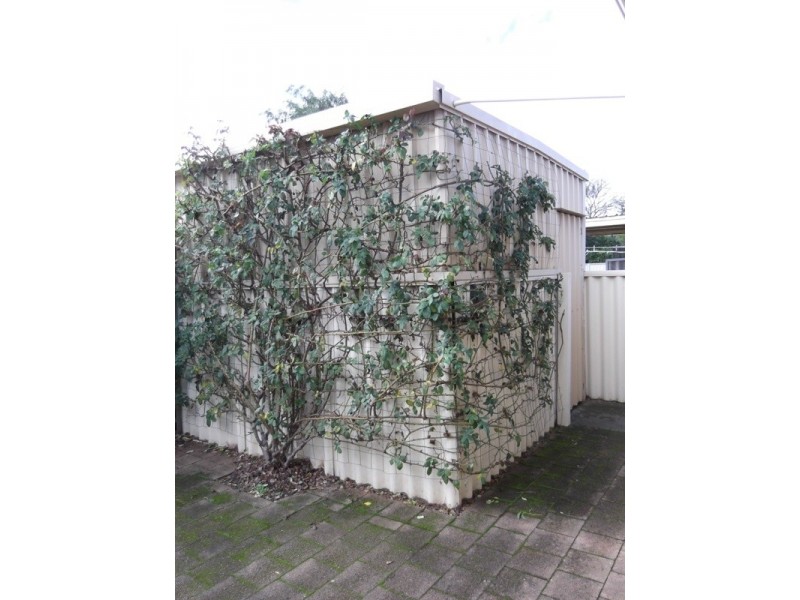 2/51 Southern Drive, Busselton WA 6280