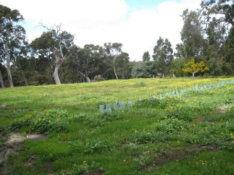 Lot 201 Glenallen Close, Quedjinup WA 6281