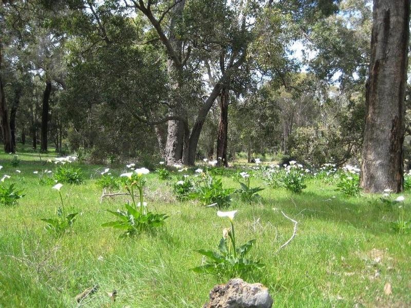 Lot 201 Glenallen Close, Quedjinup WA 6281