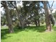Lot 201 Glenallen Close, Quedjinup WA 6281