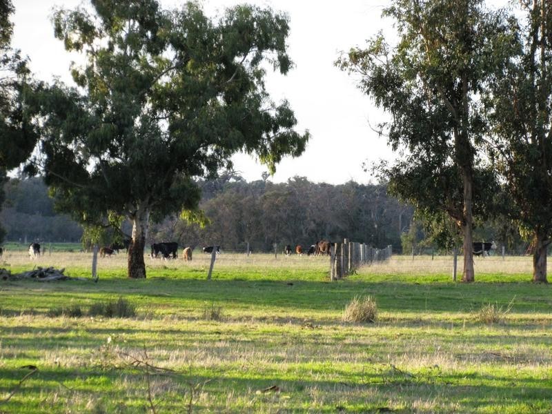 142 Brookdale Road, Boyanup WA 6237