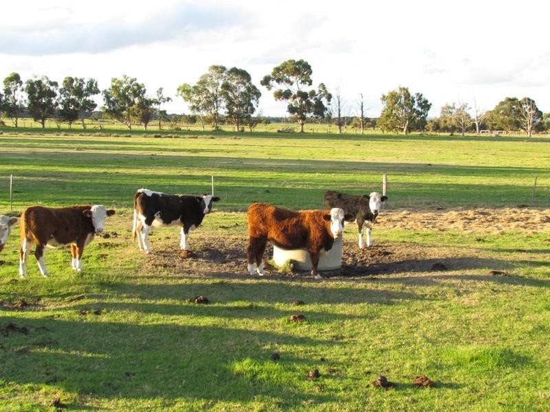 142 Brookdale Road, Boyanup WA 6237