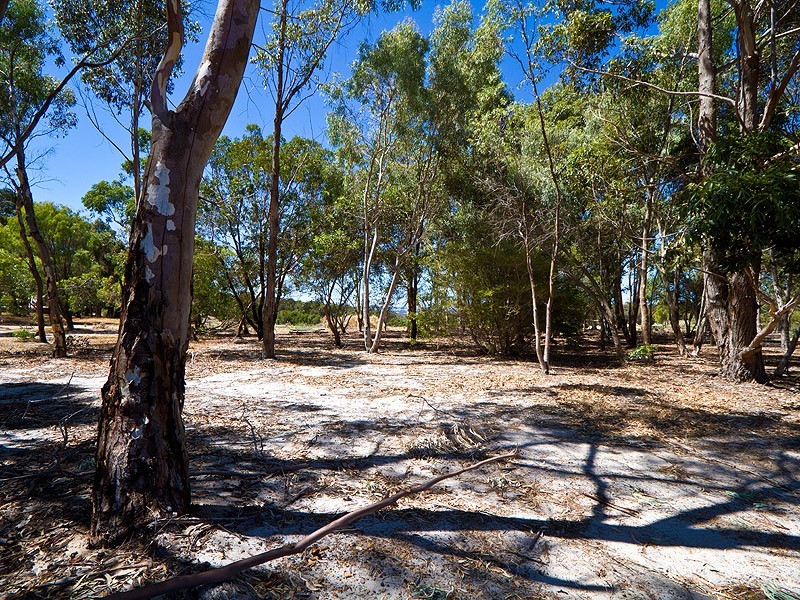 206 Quedjinup Drive, Quedjinup WA 6281