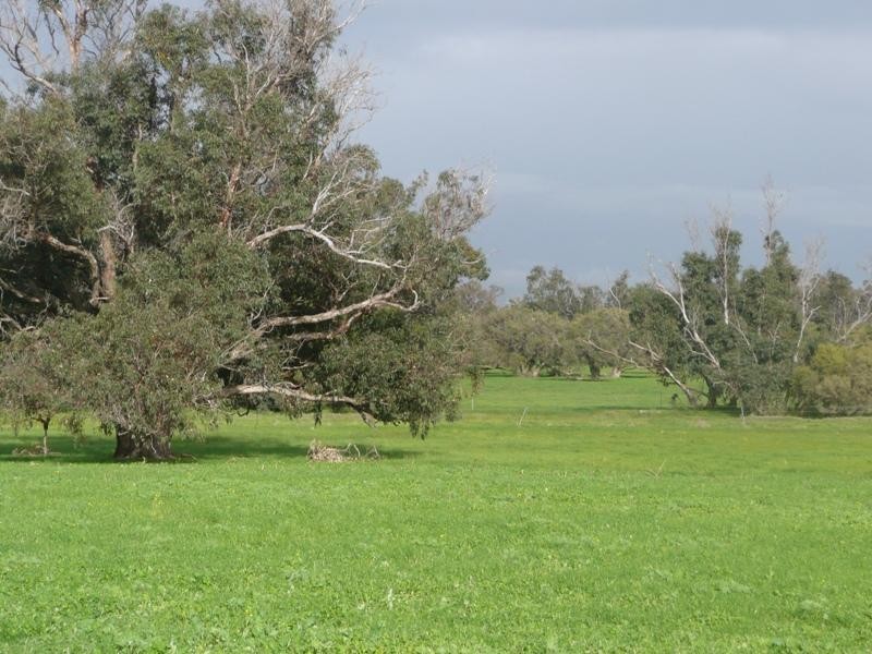 Lot 337,  Lindberg Road, Busselton WA 6280