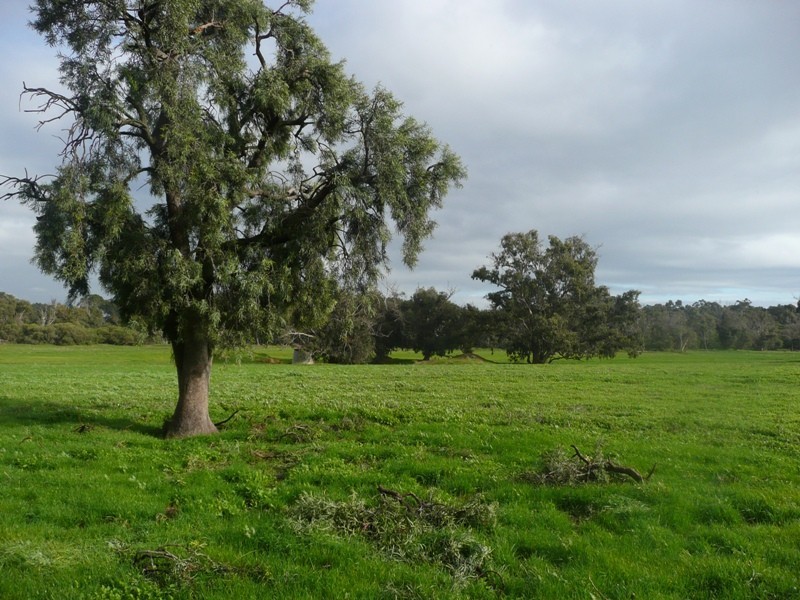 Lot 337,  Lindberg Road, Busselton WA 6280