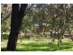 197 Lagoon Drive, Yallingup WA 6282