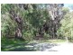 197 Lagoon Drive, Yallingup WA 6282