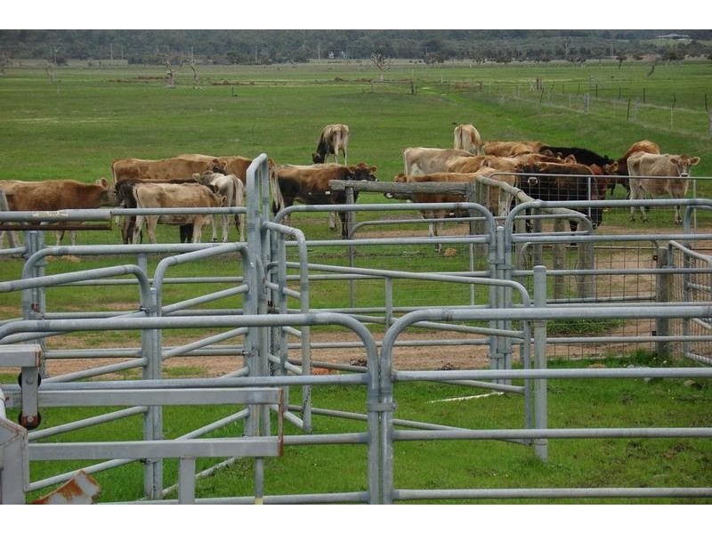 390 Oates Road, Tutunup WA 6280