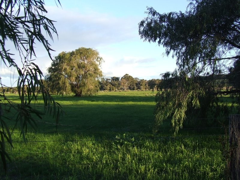 Carbunup River WA 6280