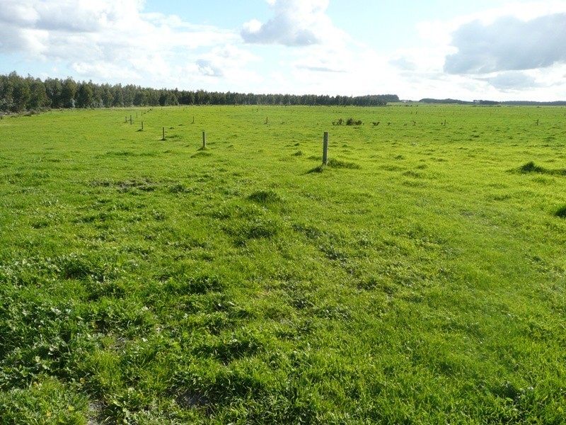 Scott River East WA 6275