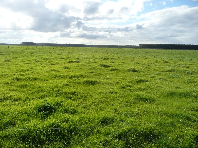 Scott River East WA 6275