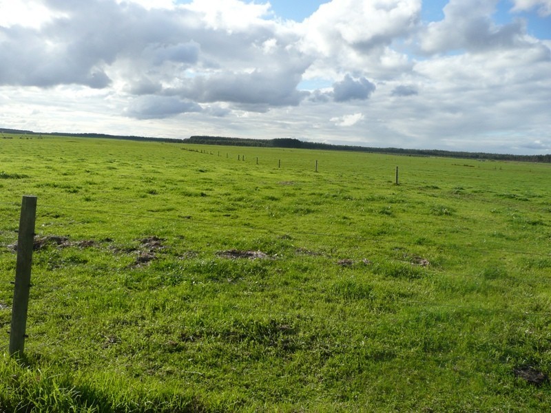 Scott River East WA 6275