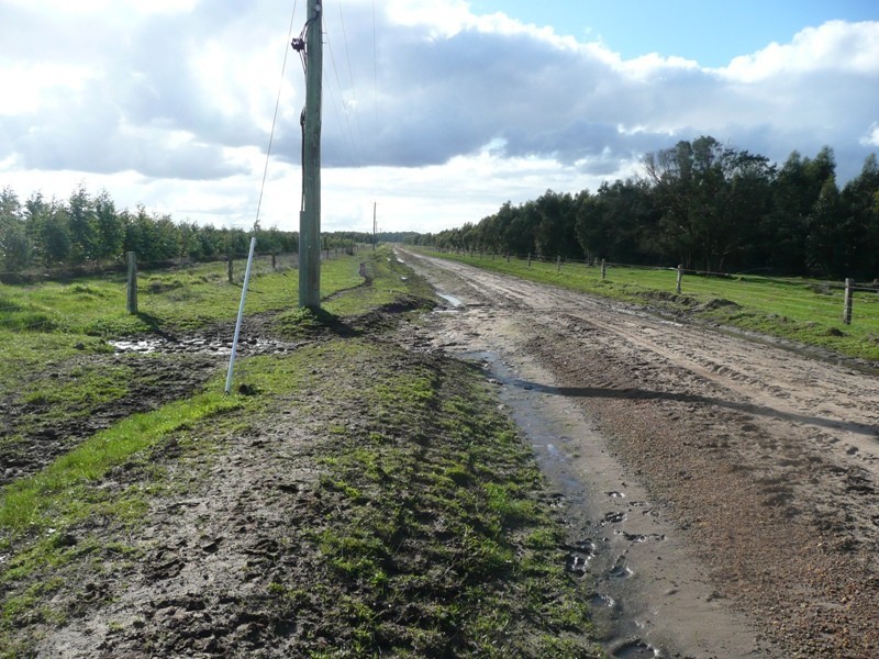 Scott River East WA 6275