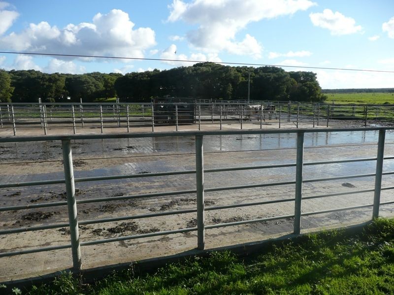 Scott River East WA 6275