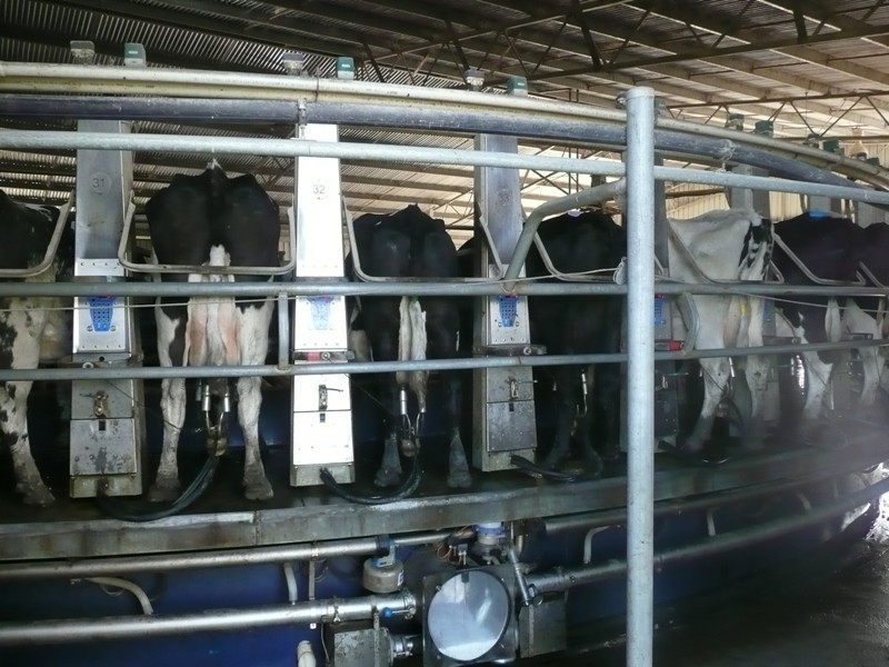 Scott River East WA 6275