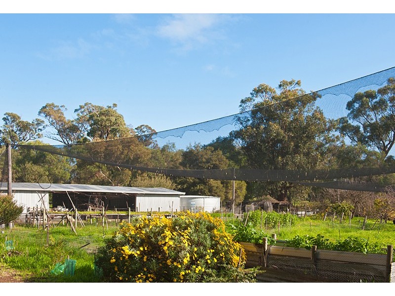 31 Treloar Road, Capel WA 6271