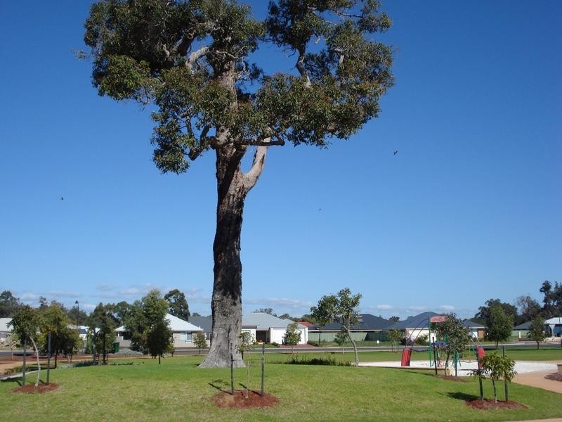 26 Lakeview Boulevard, Vasse WA 6280