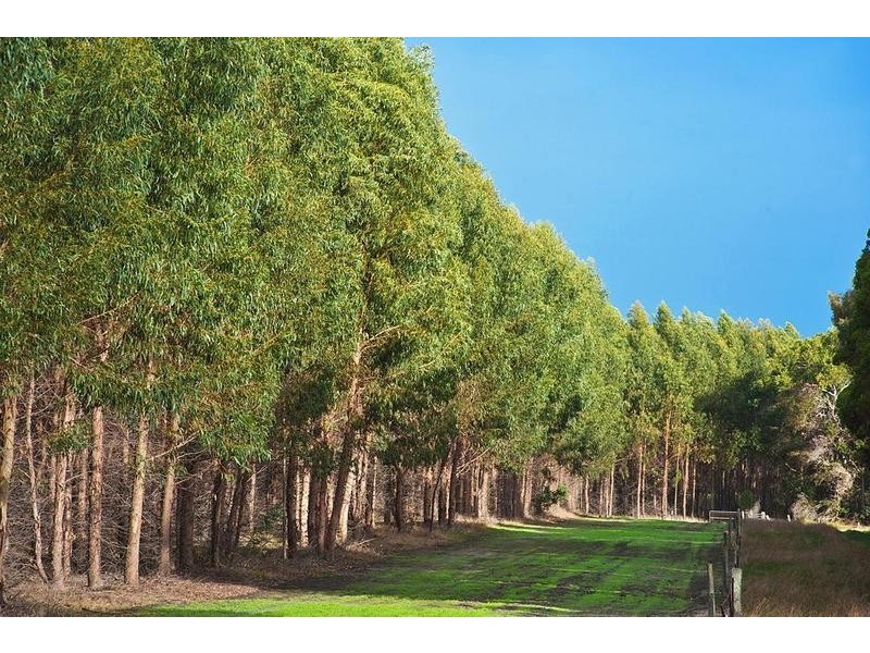 Lot 71, 628 Wirring Road, Cowaramup WA 6284