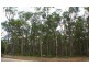 Lot 309, 18 Wandoo Place, Cowaramup WA 6284