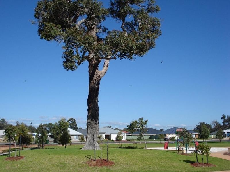 20 Parksview Boulevard, Vasse WA 6280