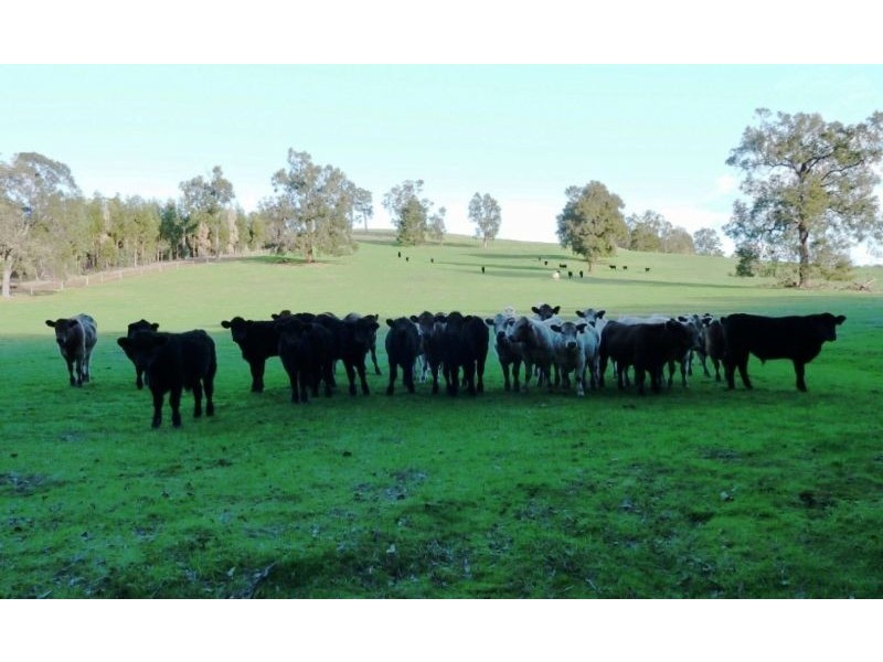 Crooked Brook WA 6236