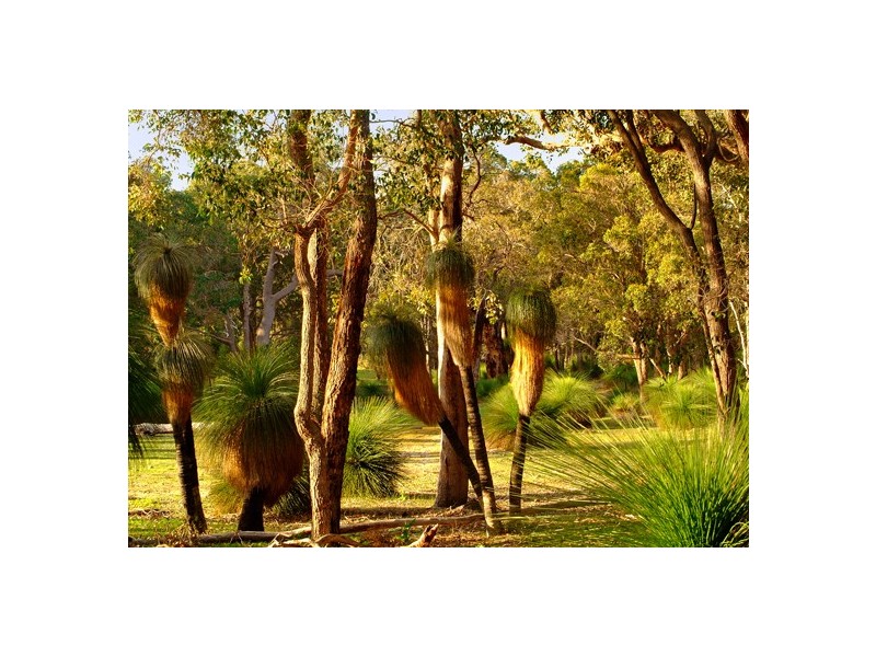 Lot 209, 27 Bronzewing Road, Quedjinup WA 6281