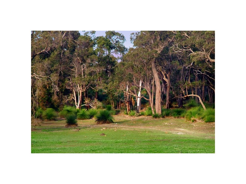 Lot 209, 27 Bronzewing Road, Quedjinup WA 6281