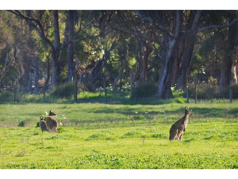 53 Rushleigh Road, Reinscourt WA 6280