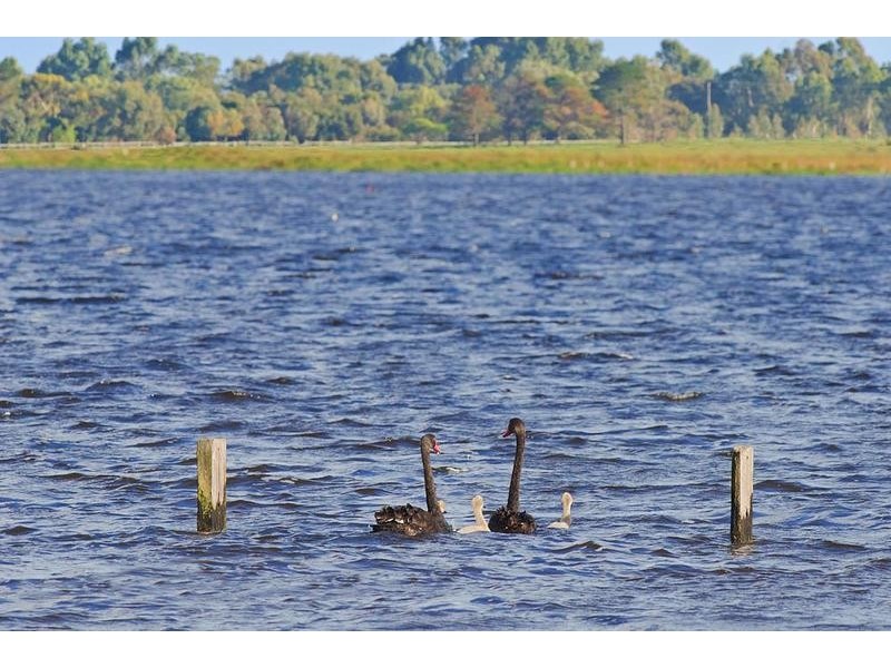 53 Rushleigh Road, Reinscourt WA 6280